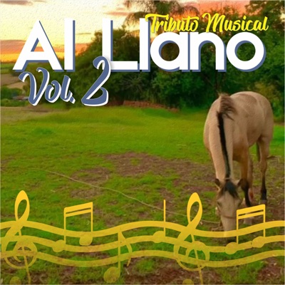 Festivaliando