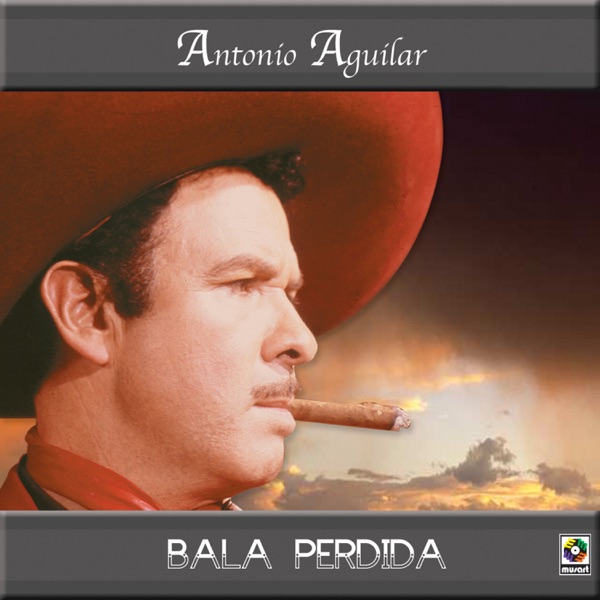 Bala perdida