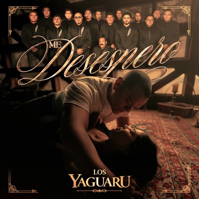 Me Desespero
