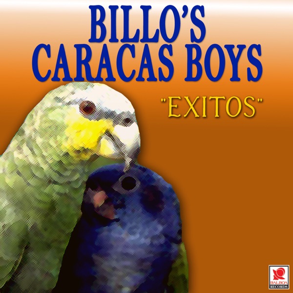 Fiesta en Corraleja Billos
